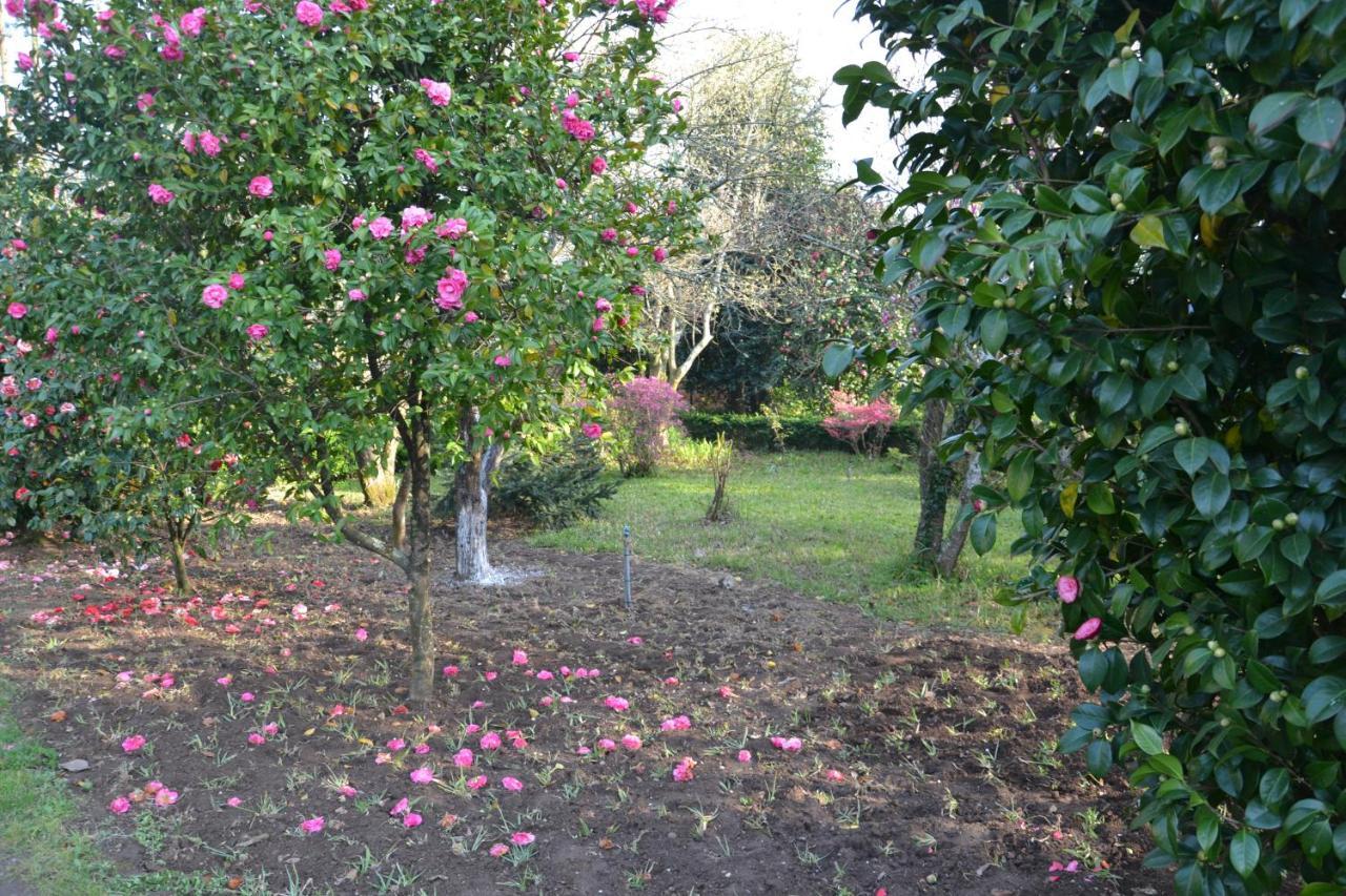 Alquerubim Quinta D'Avo Amelia B&B 외부 사진