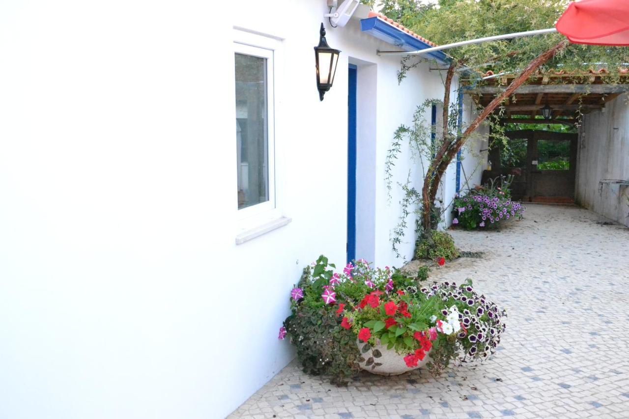 Alquerubim Quinta D'Avo Amelia B&B 외부 사진