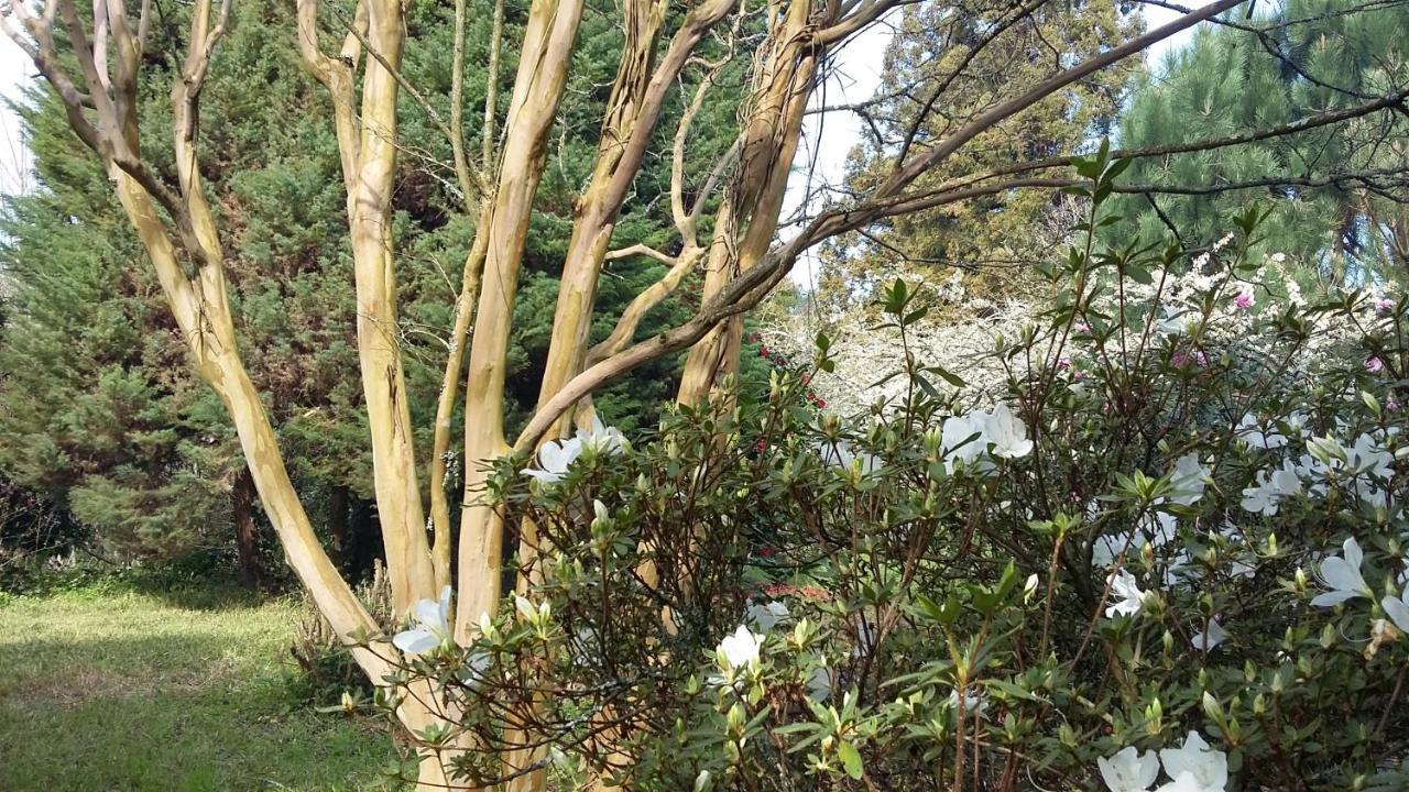 Alquerubim Quinta D'Avo Amelia B&B 외부 사진