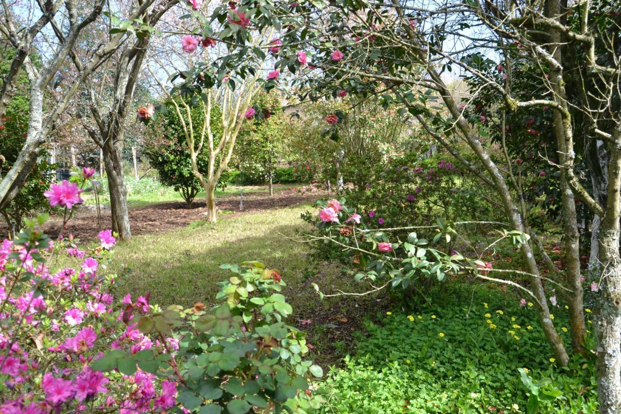 Alquerubim Quinta D'Avo Amelia B&B 외부 사진