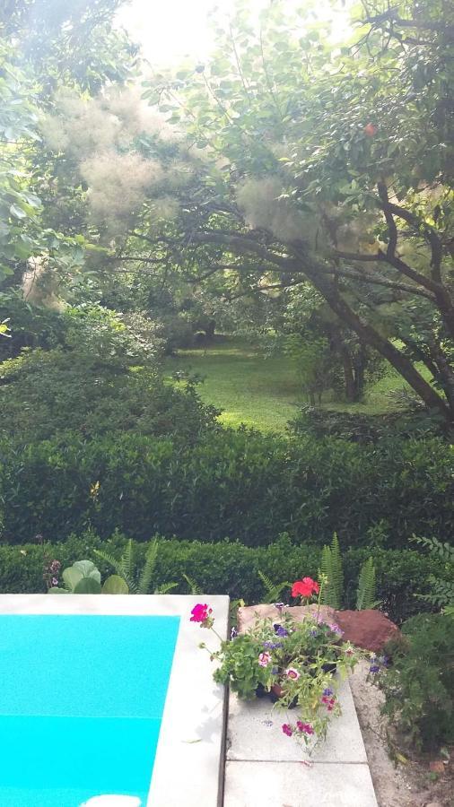 Alquerubim Quinta D'Avo Amelia B&B 외부 사진