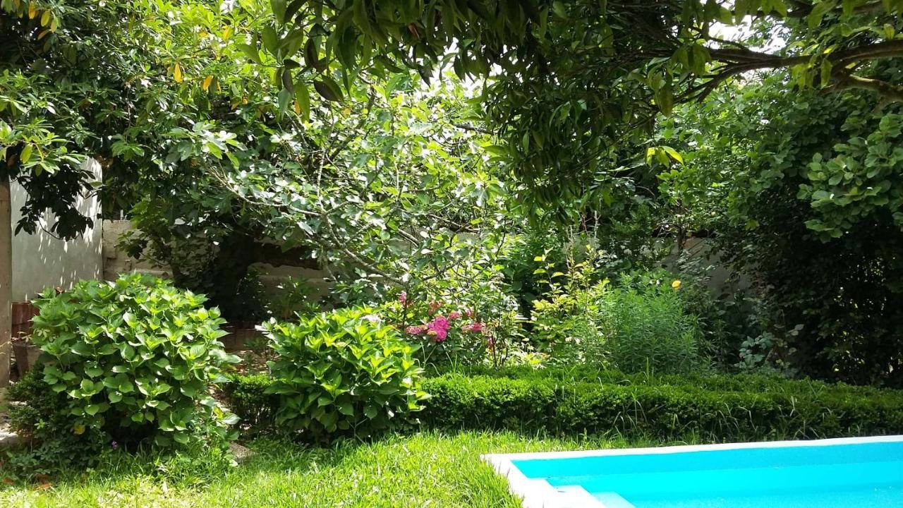 Alquerubim Quinta D'Avo Amelia B&B 외부 사진