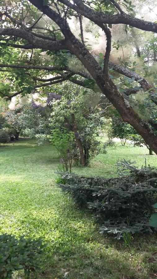 Alquerubim Quinta D'Avo Amelia B&B 외부 사진