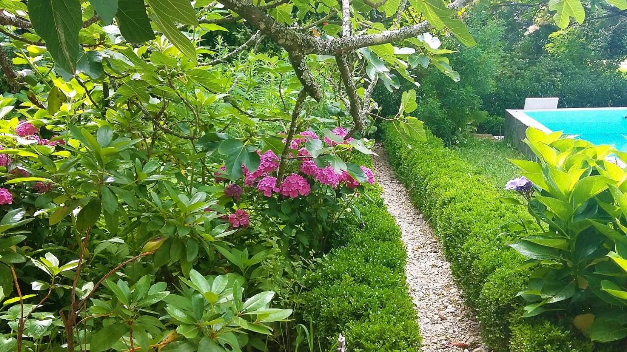 Alquerubim Quinta D'Avo Amelia B&B 외부 사진