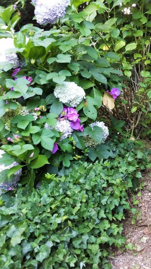 Alquerubim Quinta D'Avo Amelia B&B 외부 사진