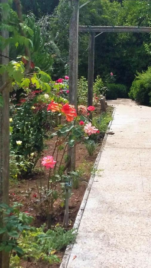 Alquerubim Quinta D'Avo Amelia B&B 외부 사진