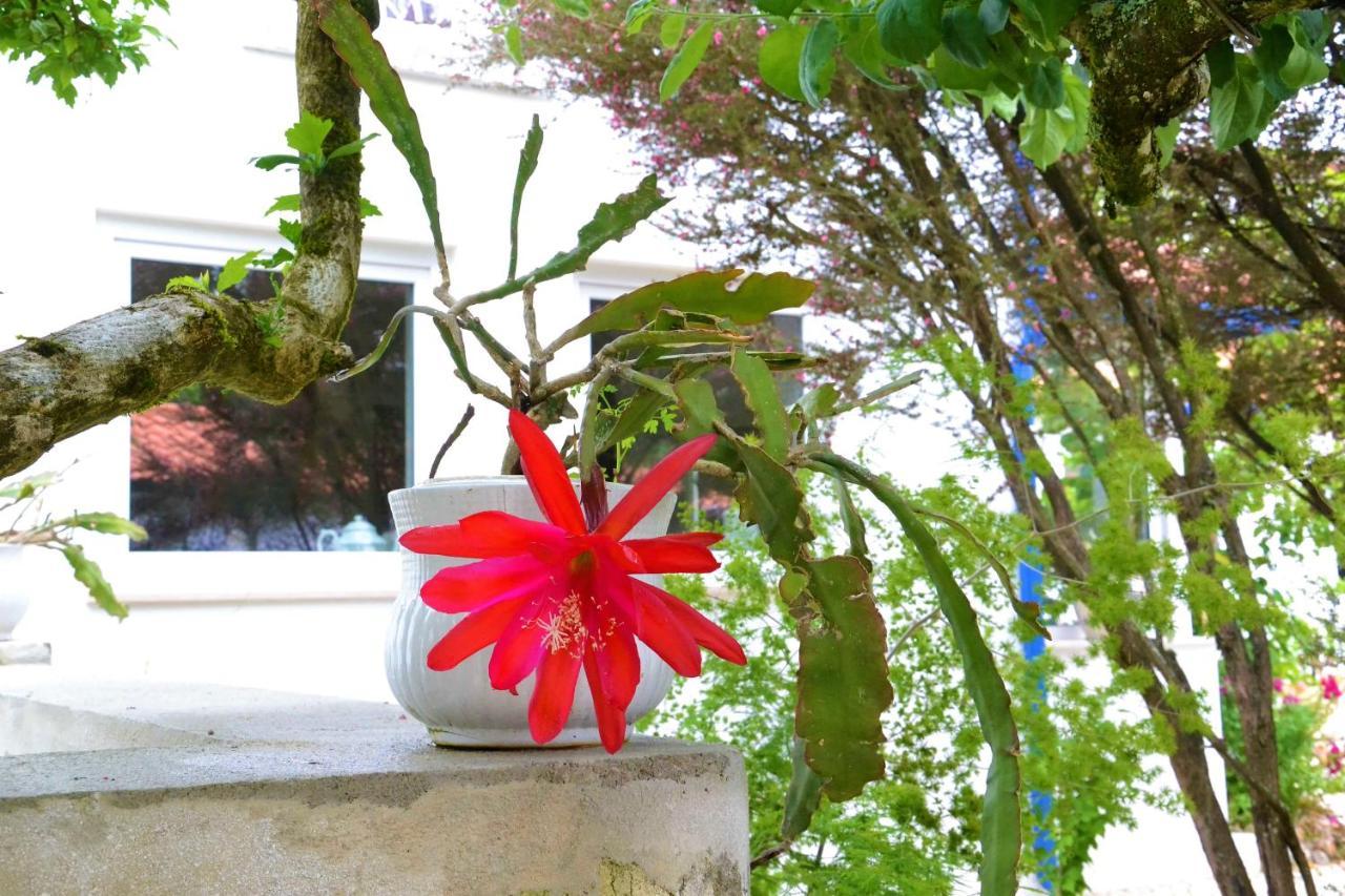 Alquerubim Quinta D'Avo Amelia B&B 외부 사진
