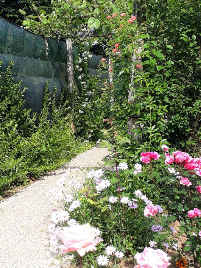 Alquerubim Quinta D'Avo Amelia B&B 외부 사진