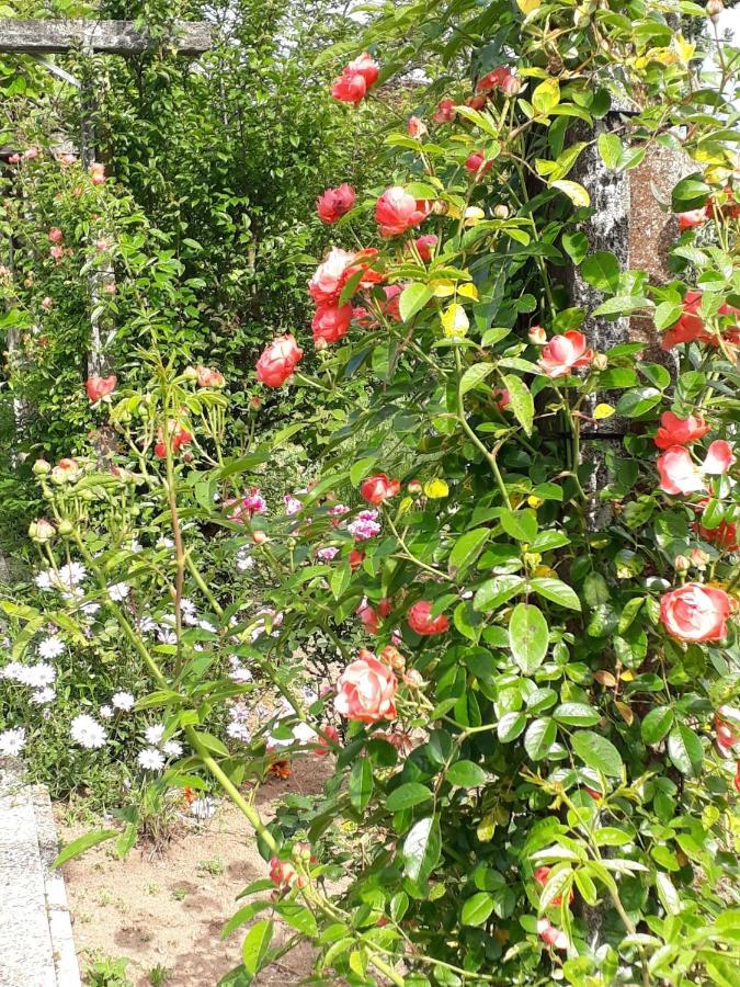 Alquerubim Quinta D'Avo Amelia B&B 외부 사진
