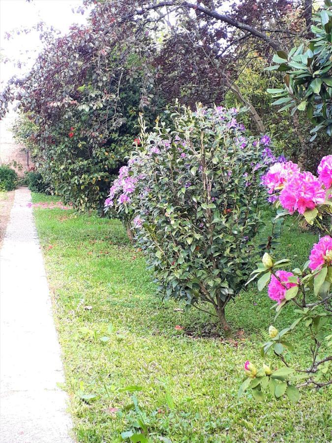 Alquerubim Quinta D'Avo Amelia B&B 외부 사진