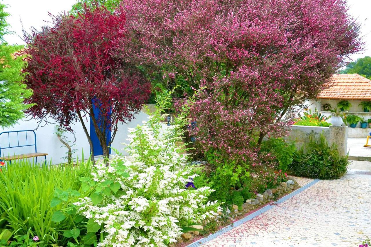Alquerubim Quinta D'Avo Amelia B&B 외부 사진