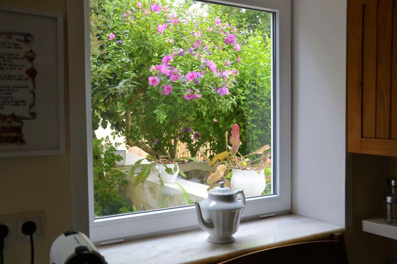 Alquerubim Quinta D'Avo Amelia B&B 외부 사진