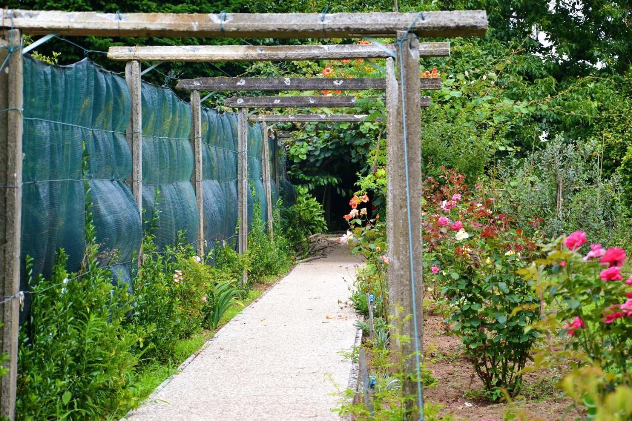 Alquerubim Quinta D'Avo Amelia B&B 외부 사진