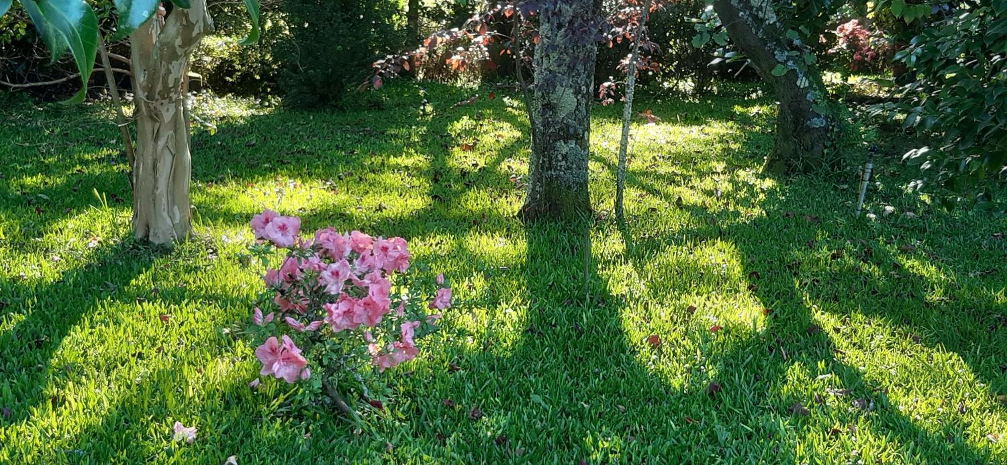 Alquerubim Quinta D'Avo Amelia B&B 외부 사진